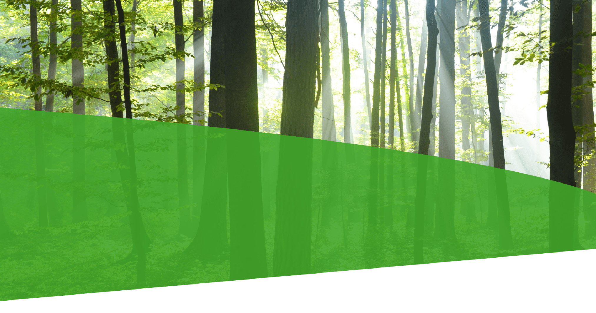 Background Footer