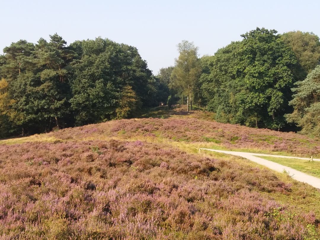 Wandelroute langs de grafheuvellijn foto 0